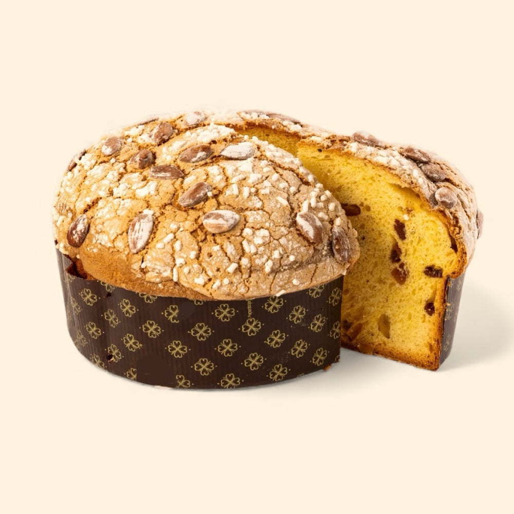 Panettone